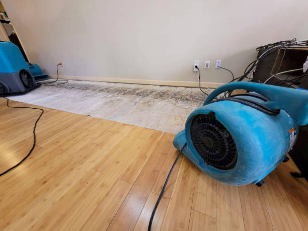 Reliable Basement Flood Cleanup contractor in Hamilton, IA by Hirex Water Damage