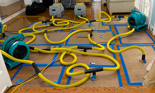 Professional Basement Flood Cleanup technician working in Hamilton, IA